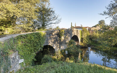 LUNES 12 – DOMINGO 18 DE MAYO / Camino de Santiago Francés – El Camino de las Estrellas (Sarria-Santiago)